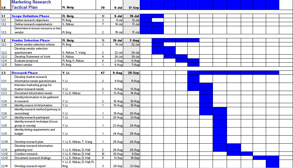 Research development plan template: 2009   2011